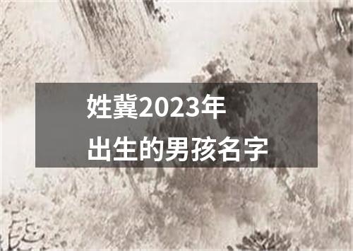 姓冀2023年出生的男孩名字