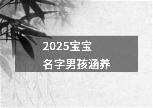 2025宝宝名字男孩涵养