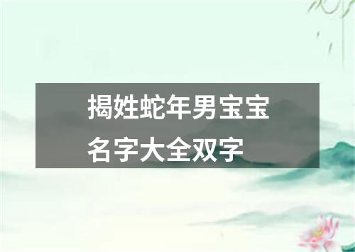 揭姓蛇年男宝宝名字大全双字