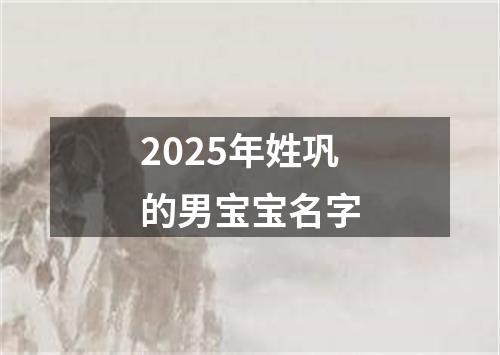 2025年姓巩的男宝宝名字