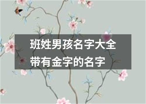 班姓男孩名字大全带有金字的名字