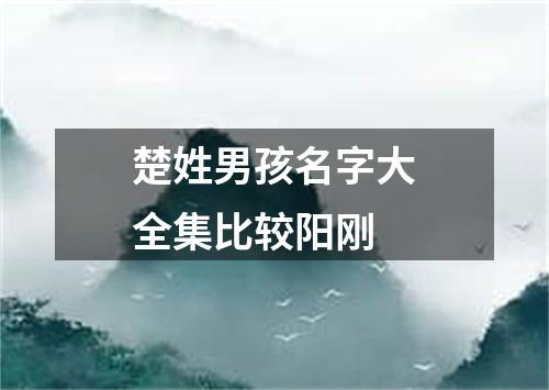 楚姓男孩名字大全集比较阳刚