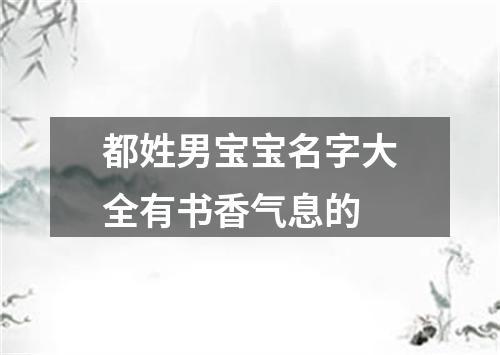 都姓男宝宝名字大全有书香气息的