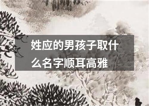 姓应的男孩子取什么名字顺耳高雅