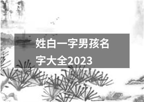 姓白一字男孩名字大全2023