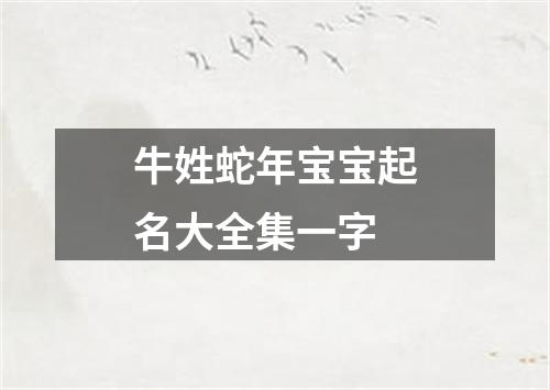 牛姓蛇年宝宝起名大全集一字