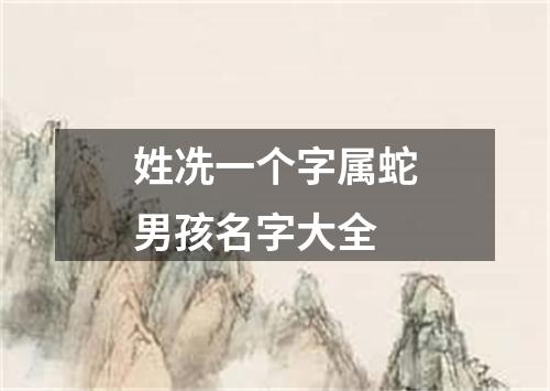 姓冼一个字属蛇男孩名字大全