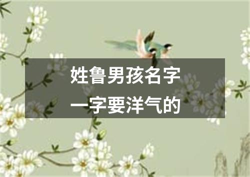 姓鲁男孩名字一字要洋气的