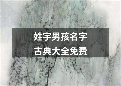 姓宇男孩名字古典大全免费
