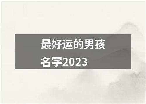 最好运的男孩名字2023