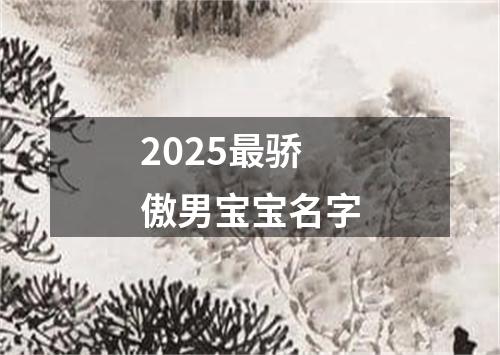 2025最骄傲男宝宝名字