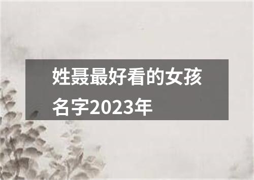 姓聂最好看的女孩名字2023年