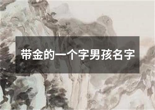 带金的一个字男孩名字