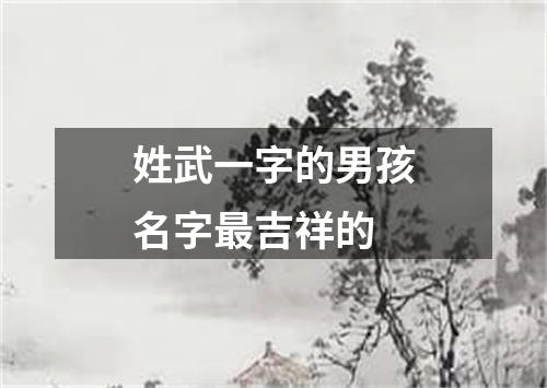 姓武一字的男孩名字最吉祥的
