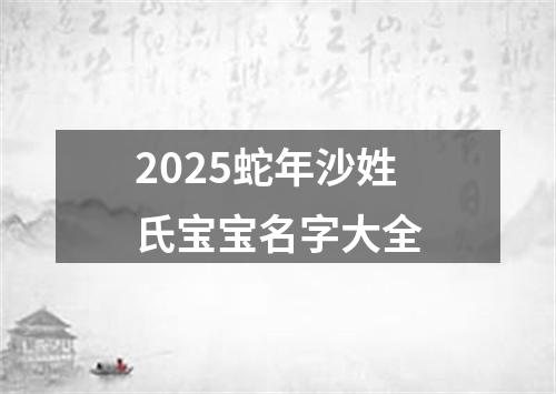 2025蛇年沙姓氏宝宝名字大全