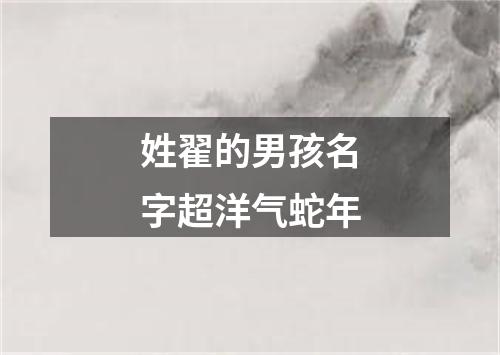 姓翟的男孩名字超洋气蛇年