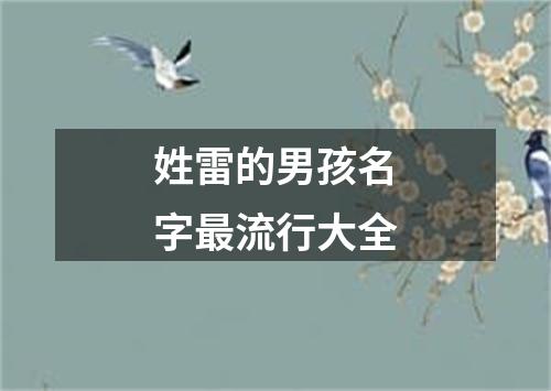 姓雷的男孩名字最流行大全