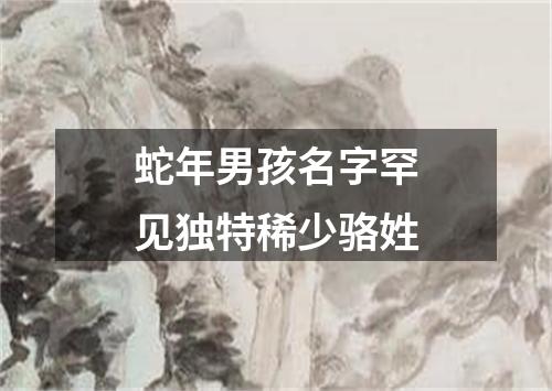 蛇年男孩名字罕见独特稀少骆姓