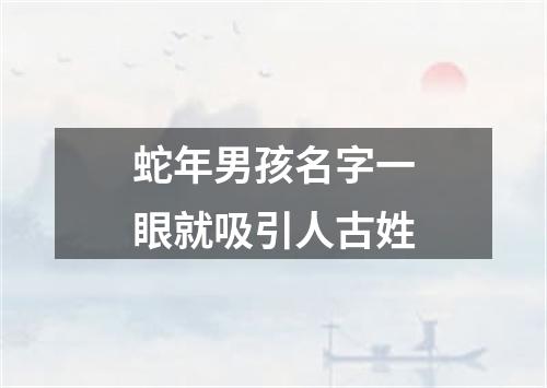 蛇年男孩名字一眼就吸引人古姓