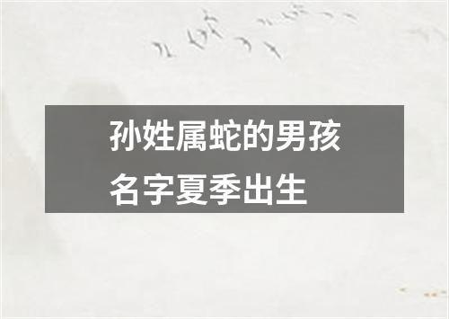 孙姓属蛇的男孩名字夏季出生