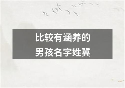 比较有涵养的男孩名字姓冀