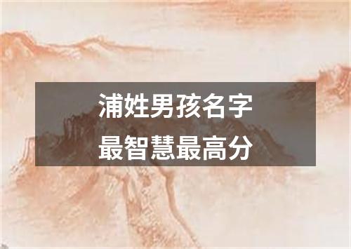 浦姓男孩名字最智慧最高分