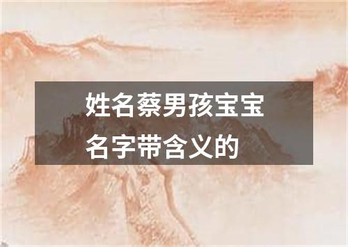 姓名蔡男孩宝宝名字带含义的