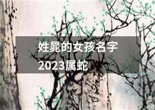 姓晁的女孩名字2023属蛇