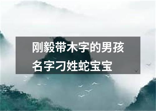 刚毅带木字的男孩名字刁姓蛇宝宝