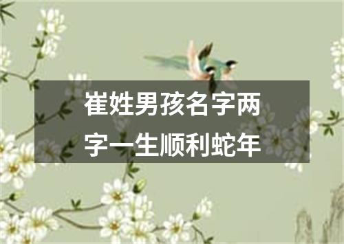 崔姓男孩名字两字一生顺利蛇年