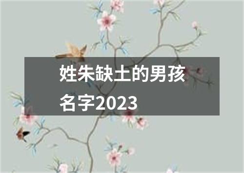 姓朱缺土的男孩名字2023