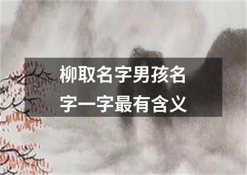 柳取名字男孩名字一字最有含义