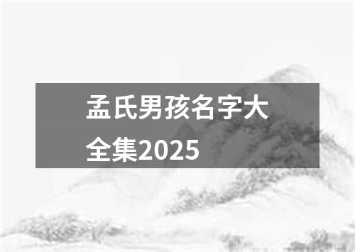 孟氏男孩名字大全集2025