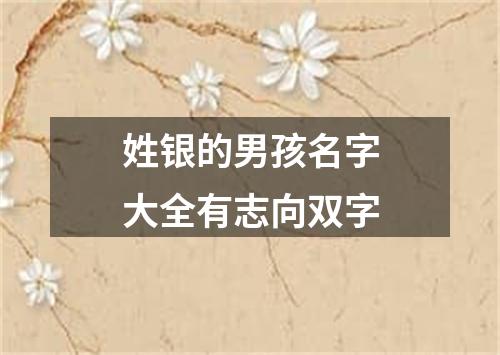 姓银的男孩名字大全有志向双字