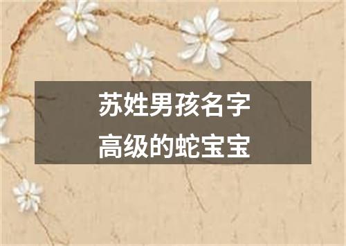 苏姓男孩名字高级的蛇宝宝