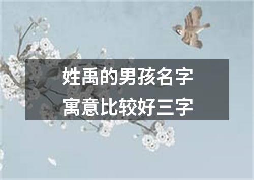 姓禹的男孩名字寓意比较好三字