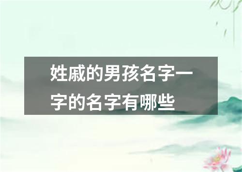 姓戚的男孩名字一字的名字有哪些
