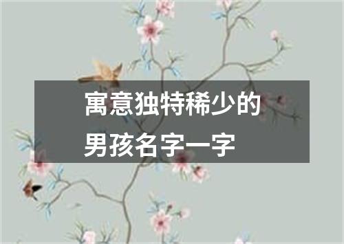 寓意独特稀少的男孩名字一字