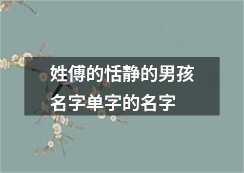 姓傅的恬静的男孩名字单字的名字