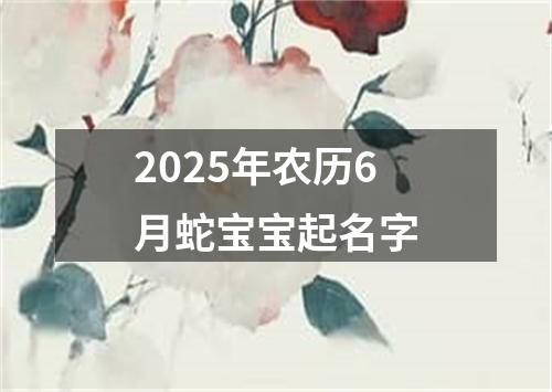 2025年农历6月蛇宝宝起名字