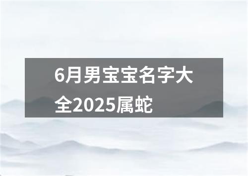 6月男宝宝名字大全2025属蛇