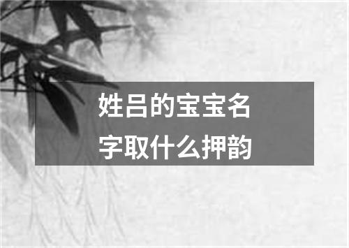 姓吕的宝宝名字取什么押韵
