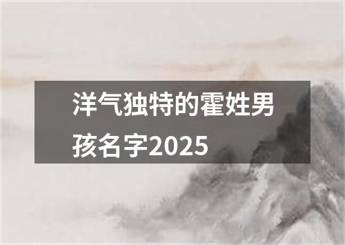 洋气独特的霍姓男孩名字2025