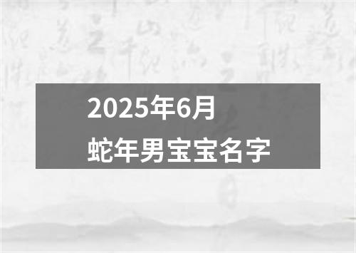 2025年6月蛇年男宝宝名字