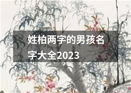 姓柏两字的男孩名字大全2023