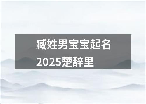 臧姓男宝宝起名2025楚辞里