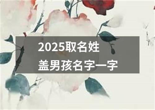 2025取名姓盖男孩名字一字