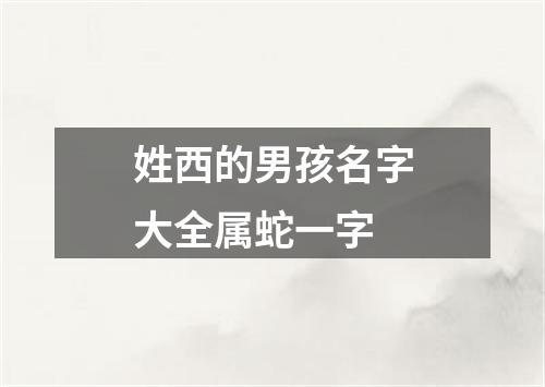 姓西的男孩名字大全属蛇一字