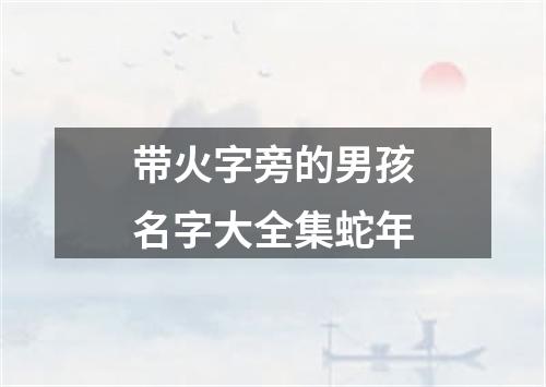 带火字旁的男孩名字大全集蛇年