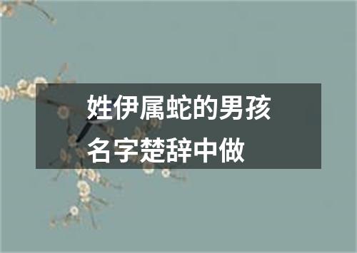 姓伊属蛇的男孩名字楚辞中做